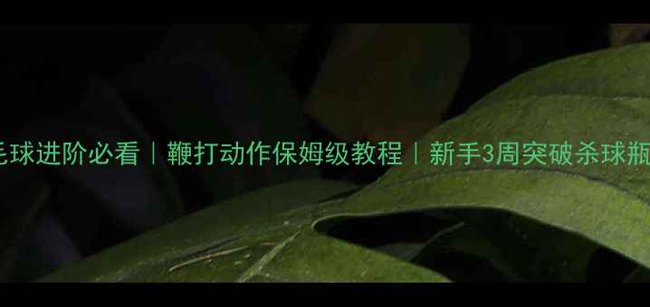 图片 🔥羽毛球进阶必看｜鞭打动作保姆级教程｜新手3周突破杀球瓶颈🏸2