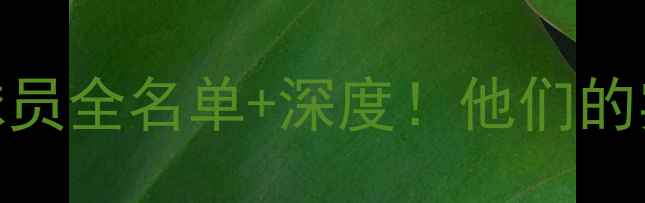 图片 🔥耐克现役签约球员全名单+深度！他们的实力到底有多强？