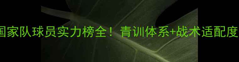 图片 🔥西班牙国家队球员实力榜全！青训体系+战术适配度+数据对比