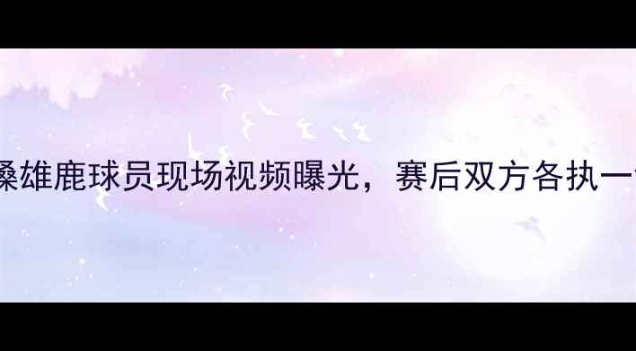 图片 🔥詹姆斯冲突升级！推搡雄鹿球员现场视频曝光，赛后双方各执一词，联盟紧急介入调查1