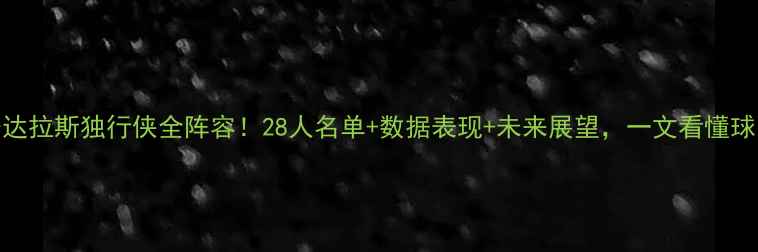 图片 🔥赛季达拉斯独行侠全阵容！28人名单+数据表现+未来展望，一文看懂球队实力