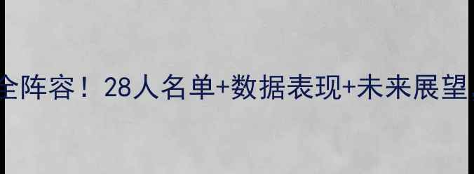 图片 🔥赛季达拉斯独行侠全阵容！28人名单+数据表现+未来展望，一文看懂球队实力2