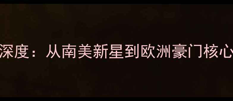 图片 🔥赫拉尼球员深度：从南美新星到欧洲豪门核心的逆袭之路💥