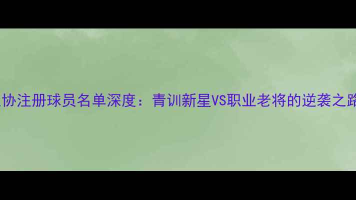 图片 🔥足协注册球员名单深度：青训新星VS职业老将的逆袭之路✨2