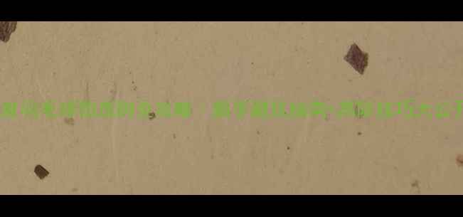 图片 🔥辛度羽毛球拍选购全攻略｜新手避坑指南+高阶技巧大公开💥1