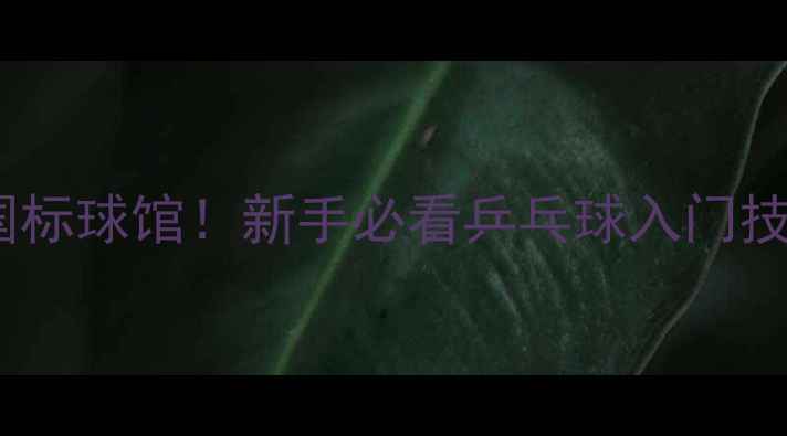 图片 🔥零基础3个月逆袭国标球馆！新手必看乒乓球入门技巧+实战训练指南🔥1
