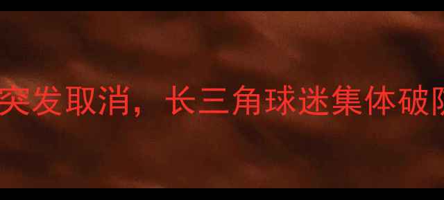 图片 🔥震惊！上海申花亚冠生死战突发取消，长三角球迷集体破防！深度背后的原因与影响🔥1