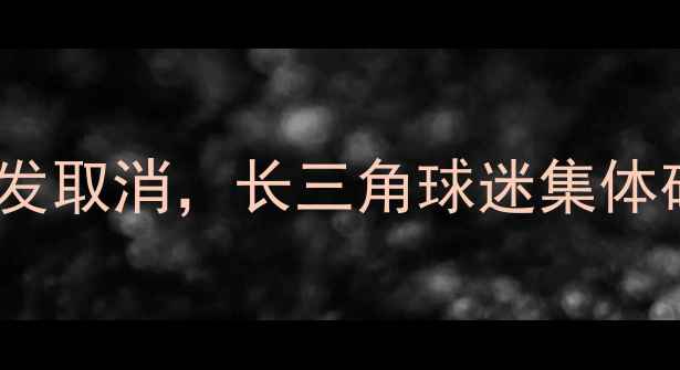 图片 🔥震惊！上海申花亚冠生死战突发取消，长三角球迷集体破防！深度背后的原因与影响🔥2