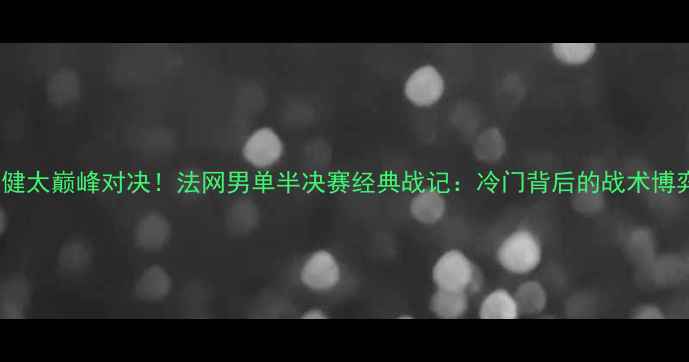 图片 🔥马琳VS松平健太巅峰对决！法网男单半决赛经典战记：冷门背后的战术博弈与青春风暴2