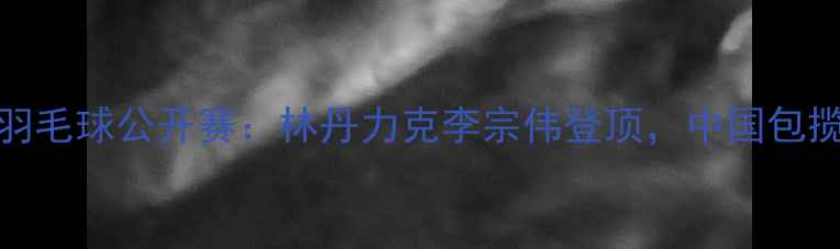 图片 2009年中国羽毛球公开赛：林丹力克李宗伟登顶，中国包揽五金创历史