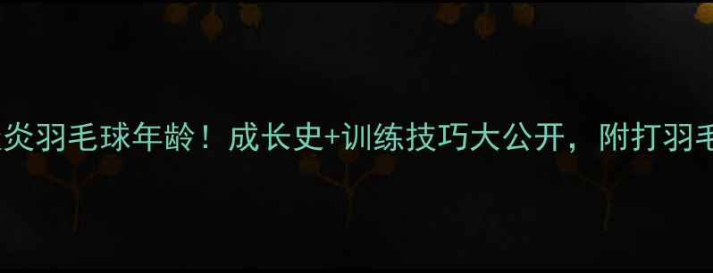 图片 25岁国手蔡炎炎羽毛球年龄！成长史+训练技巧大公开，附打羽毛球必看攻略2