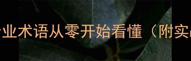 图片 30个羽毛球专业术语从零开始看懂（附实战应用指南）