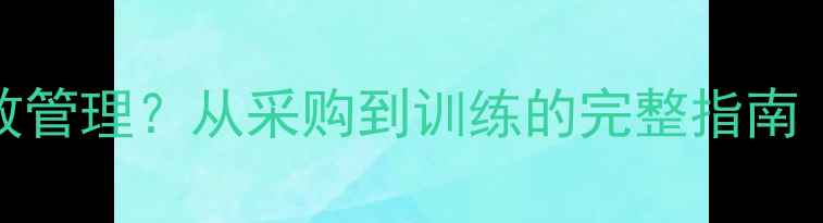 图片 85个乒乓球如何高效管理？从采购到训练的完整指南（附成本控制方案）