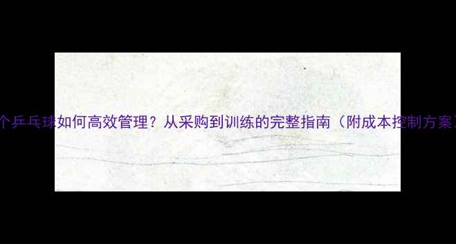 图片 85个乒乓球如何高效管理？从采购到训练的完整指南（附成本控制方案）2