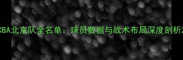 图片 CBA北京队全名单：球员数据与战术布局深度剖析2