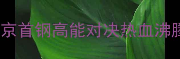 图片 CBA常规赛焦点战：广东宏远VS北京首钢高能对决热血沸腾！全网最全赛事前瞻+球员数据1