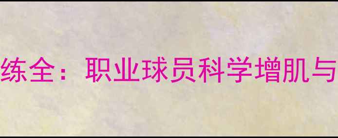 图片 CBA球员健身训练全：职业球员科学增肌与体能提升秘籍2