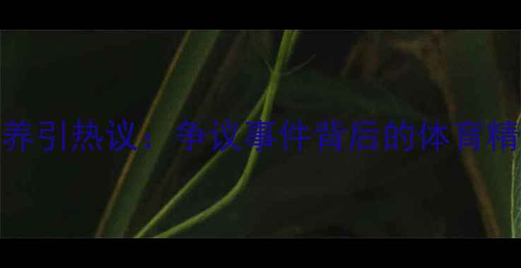 图片 CBA球员职业素养引热议：争议事件背后的体育精神与职业发展2