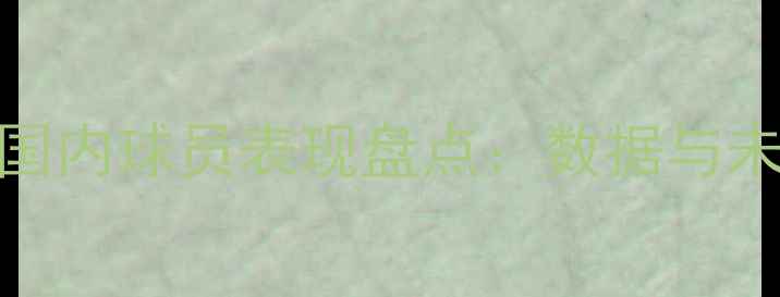 图片 CBA赛季国内球员表现盘点：数据与未来展望1