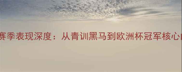 图片 Cicero球员赛季表现深度：从青训黑马到欧洲杯冠军核心的逆袭之路1