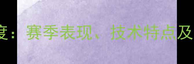 图片 Deger球员深度：赛季表现、技术特点及未来职业规划