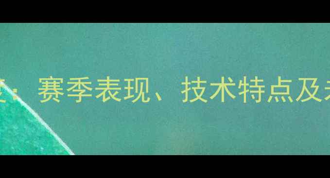 图片 Deger球员深度：赛季表现、技术特点及未来职业规划2