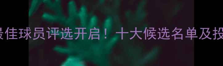 图片 FAFI联赛最佳球员评选开启！十大候选名单及投票攻略全2