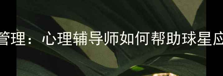 图片 NBA球员情绪管理：心理辅导师如何帮助球星应对高压环境2