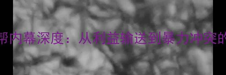 图片 NBA球员涉黑帮内幕深度：从利益输送到暴力冲突的十年浮沉史1