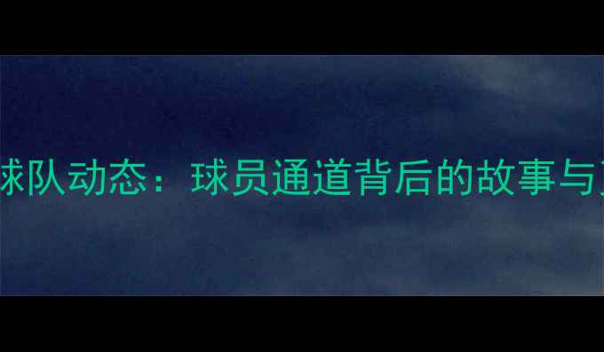 图片 NBA芝加哥球队动态：球员通道背后的故事与更衣室秘闻