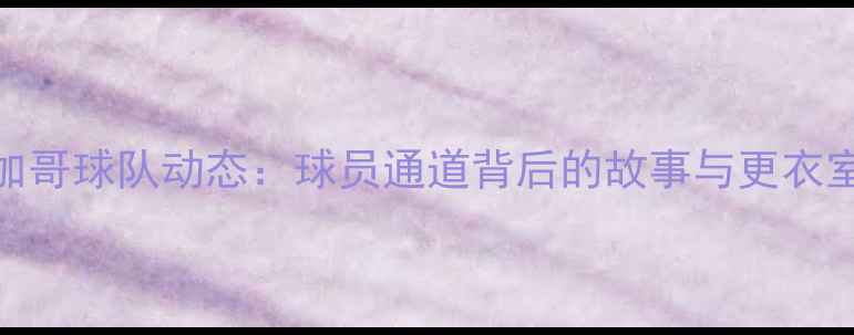 图片 NBA芝加哥球队动态：球员通道背后的故事与更衣室秘闻2