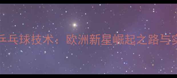 图片 PetrDavid乒乓球技术：欧洲新星崛起之路与实战技巧全2