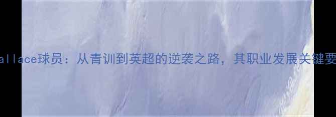 图片 Rwallace球员：从青训到英超的逆袭之路，其职业发展关键要素