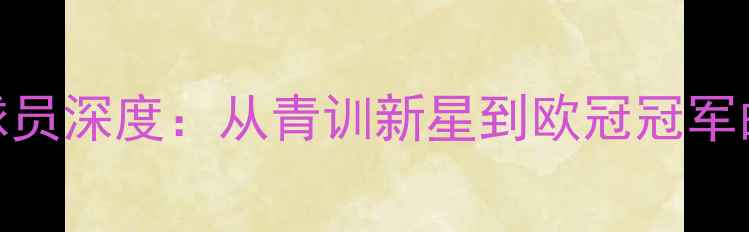 图片 Schwarzer球员深度：从青训新星到欧冠冠军的逆袭之路2