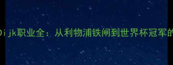 图片 VirgilvanDijk职业全：从利物浦铁闸到世界杯冠军的逆袭之路1