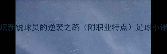 图片 WL是谁？足坛新锐球员的逆袭之路（附职业特点）足球小课堂体育科普