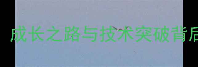 图片 WTA中国球员赛季表现：成长之路与技术突破背后的中国网球发展密码2