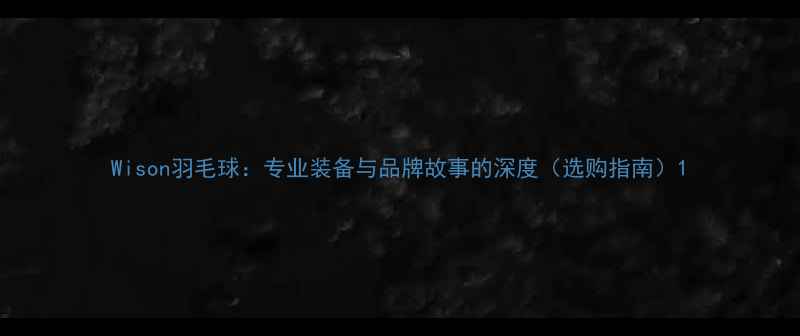 图片 Wison羽毛球：专业装备与品牌故事的深度（选购指南）1