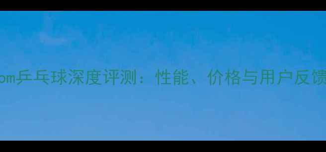 图片 Xiom乒乓球深度评测：性能、价格与用户反馈全