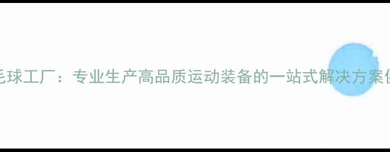 图片 rez羽毛球工厂：专业生产高品质运动装备的一站式解决方案供应商1