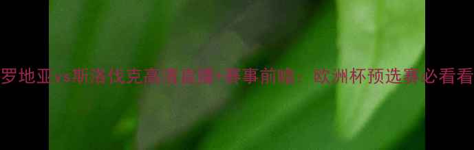 图片 ⚽克罗地亚vs斯洛伐克高清直播+赛事前瞻：欧洲杯预选赛必看看点🔥