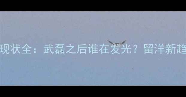 图片 ✨欧洲联赛中国球员现状全：武磊之后谁在发光？留洋新趋势与职业规划指南💼