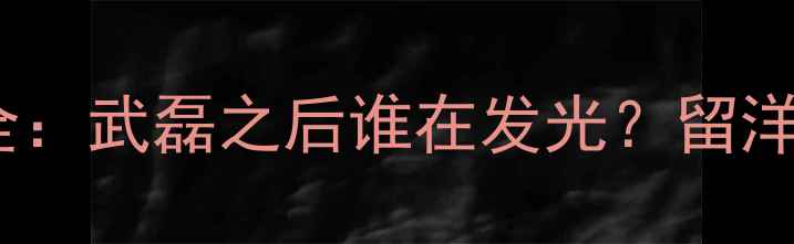 图片 ✨欧洲联赛中国球员现状全：武磊之后谁在发光？留洋新趋势与职业规划指南💼1