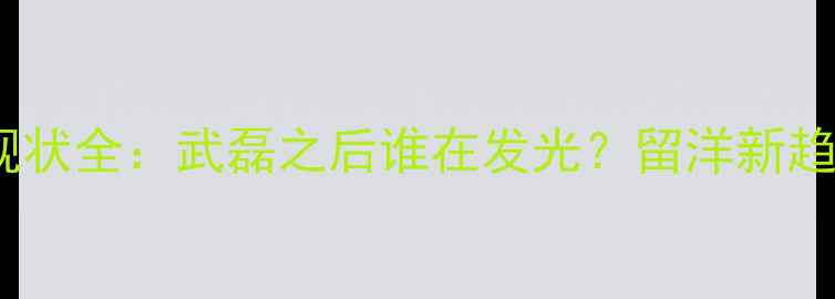 图片 ✨欧洲联赛中国球员现状全：武磊之后谁在发光？留洋新趋势与职业规划指南💼2