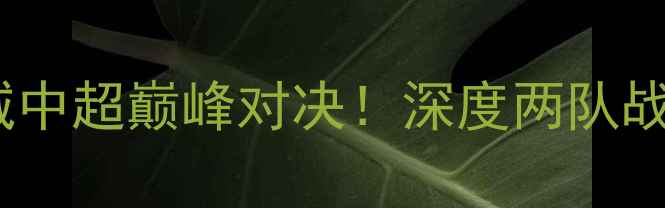 图片 ✨贵州人和vs杭州绿城中超巅峰对决！深度两队战术博弈与必胜策略🔥2