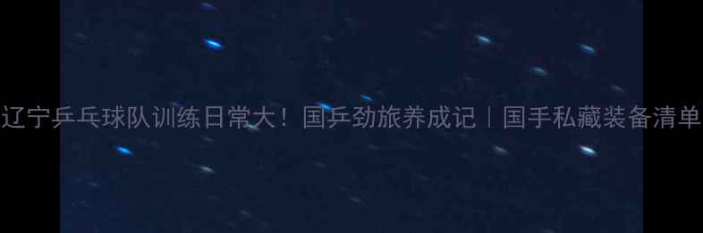 图片 ✨辽宁乒乓球队训练日常大！国乒劲旅养成记｜国手私藏装备清单🔥