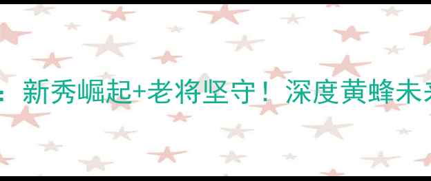 图片 ✨鹈鹕球员：新秀崛起+老将坚守！深度黄蜂未来三巨头✨2