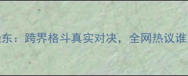 图片 一龙vs徐晓东：跨界格斗真实对决，全网热议谁更胜一筹？