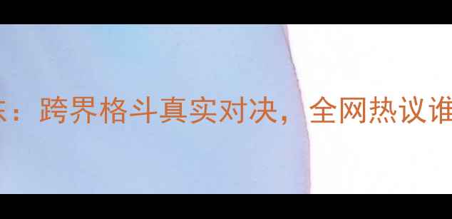 图片 一龙vs徐晓东：跨界格斗真实对决，全网热议谁更胜一筹？1