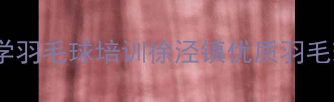 图片 上海徐泾小学羽毛球培训徐泾镇优质羽毛球课程推荐1